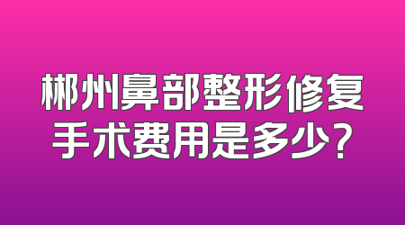 郴州鼻部整形修复手术费用是多少？