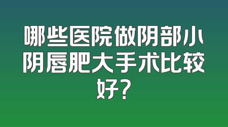 哪些医院做阴部小阴唇肥大手术比较好？