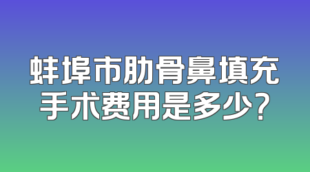 蚌埠市肋骨鼻填充手术费用是多少？