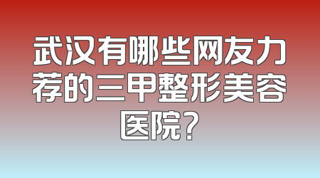 武汉有哪些网友力荐的三甲整形美容医院？