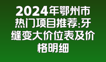 2024年鄂州市热门项目推荐：牙缝变大价位表及价格明细