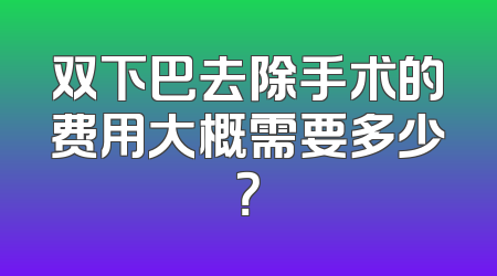 双下巴去除手术的费用大概需要多少？