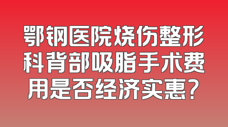 鄂钢医院烧伤整形科背部吸脂手术费用是否经济实惠？