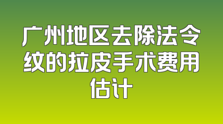 广州地区去除法令纹的拉皮手术费用估计
