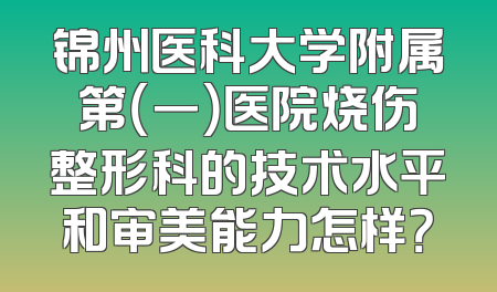 锦州医科大学附属第（一）医院烧伤整形科的技术水平和审美能力怎样？