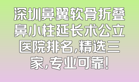 深圳鼻翼软骨折叠鼻小柱延长术公立医院排名，精选三家，专业可靠！