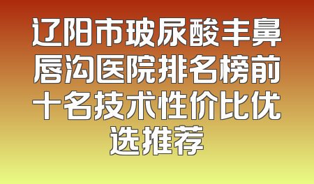 辽阳市玻尿酸丰鼻唇沟医院排名榜前十名技术性价比优选推荐