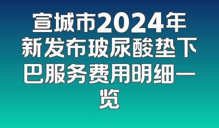 宣城市2024年新发布玻尿酸垫下巴服务费用明细一览