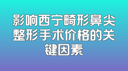 影响西宁畸形鼻尖整形手术价格的关键因素