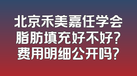 北京禾美嘉任学会脂肪填充好不好？费用明细公开吗？