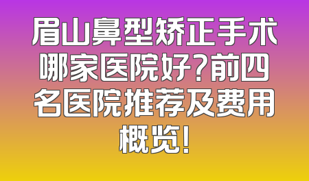 眉山鼻型矫正手术哪家医院好？前四名医院推荐及费用概览！