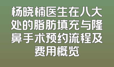 杨晓楠医生在八大处的脂肪填充与隆鼻手术预约流程及费用概览