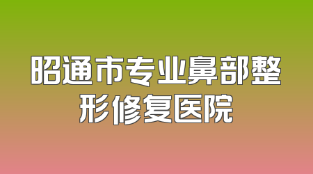 昭通市专业鼻部整形修复医院