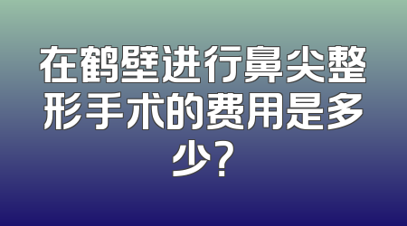 在鹤壁进行鼻尖整形手术的费用是多少？