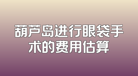 葫芦岛进行眼袋手术的费用估算