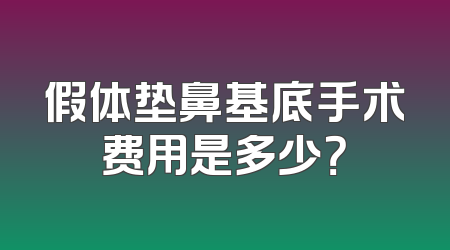 假体垫鼻基底手术费用是多少？