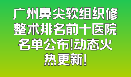 广州鼻尖软组织修整术排名前十医院名单公布！动态火热更新！