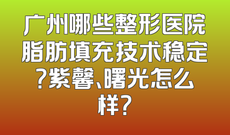 广州哪些整形医院脂肪填充技术稳定？紫馨、曙光怎么样？
