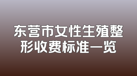 东营市女性生殖整形收费标准一览