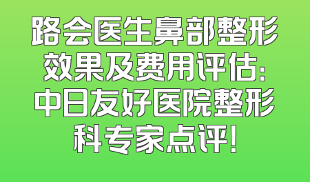 路会医生鼻部整形效果及费用评估：中日友好医院整形科专家点评！