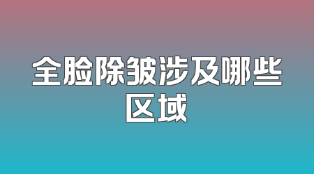 全脸除皱涉及哪些区域