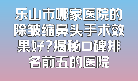 乐山市哪家医院的除皱缩鼻头手术效果好？揭秘口碑排名前五的医院