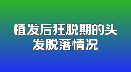 植发后狂脱期的头发脱落情况