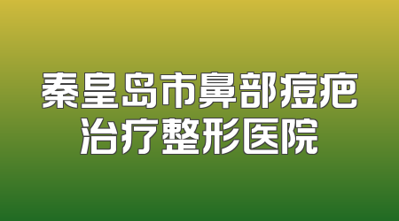 秦皇岛市鼻部痘疤治疗整形医院