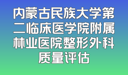 内蒙古民族大学第二临床医学院附属林业医院整形外科质量评估