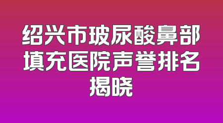 绍兴市玻尿酸鼻部填充医院声誉排名揭晓