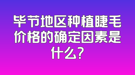 毕节地区种植睫毛价格的确定因素是什么？