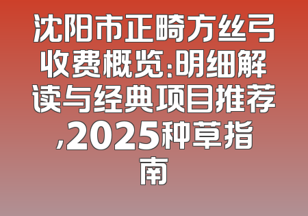 沈阳市正畸方丝弓收费概览：明细解读与经典项目推荐，2025种草指南