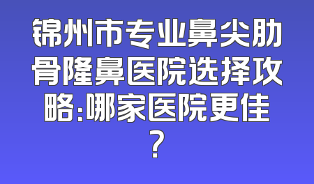 锦州市专业鼻尖肋骨隆鼻医院选择攻略：哪家医院更佳？