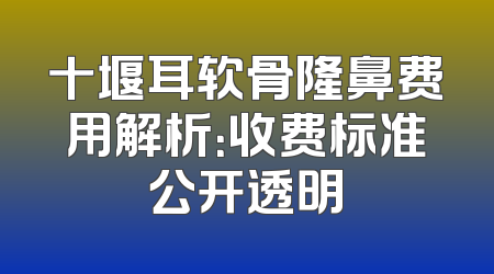 十堰耳软骨隆鼻费用解析：收费标准公开透明