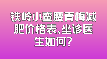 铁岭小蛮腰青梅减肥价格表、坐诊医生如何？