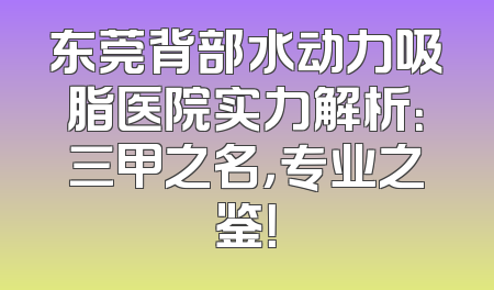 东莞背部水动力吸脂医院实力解析：三甲之名，专业之鉴！