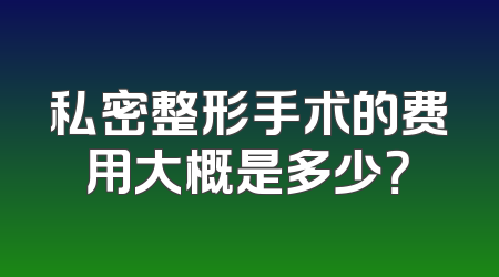 私密整形手术的费用大概是多少？