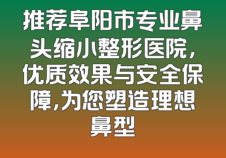 推荐阜阳市专业鼻头缩小整形医院，优质效果与安全保障，为您塑造理想鼻型