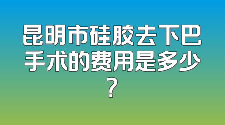 昆明市硅胶去下巴手术的费用是多少？