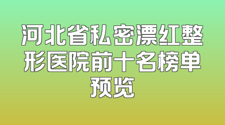河北省私密漂红整形医院前十名榜单预览