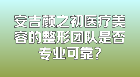 安吉颜之初医疗美容的整形团队是否专业可靠？