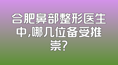 合肥鼻部整形医生中，哪几位备受推崇？