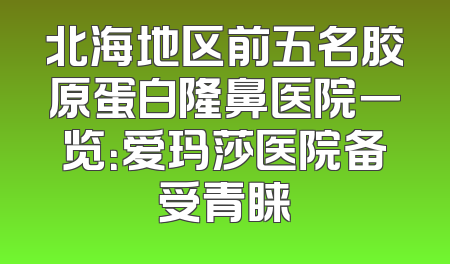 北海地区前五名胶原蛋白隆鼻医院一览：爱玛莎医院备受青睐