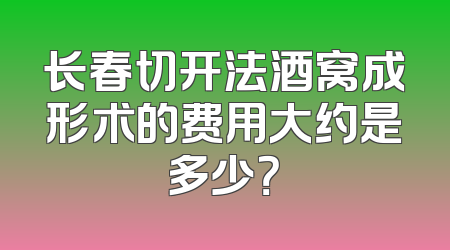 长春切开法酒窝成形术的费用大约是多少？