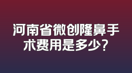 河南省微创隆鼻手术费用是多少？