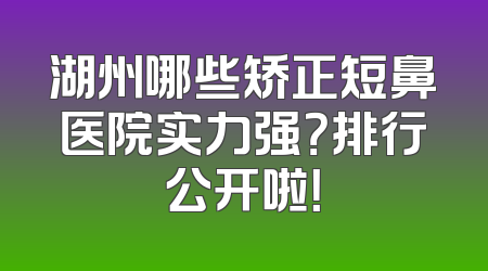 湖州哪些矫正短鼻医院实力强？排行公开啦！