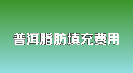 普洱脂肪填充费用
