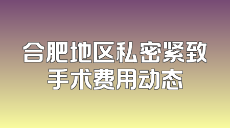 合肥地区私密紧致手术费用动态