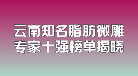 云南知名脂肪微雕专家十强榜单揭晓