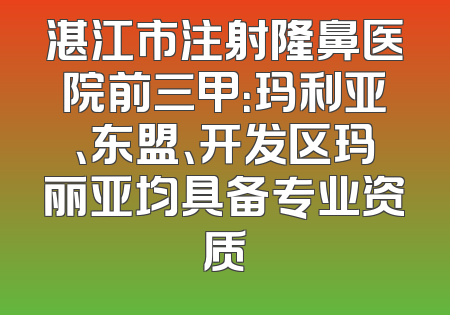 湛江市注射隆鼻医院前三甲：玛利亚、东盟、开发区玛丽亚均具备专业资质